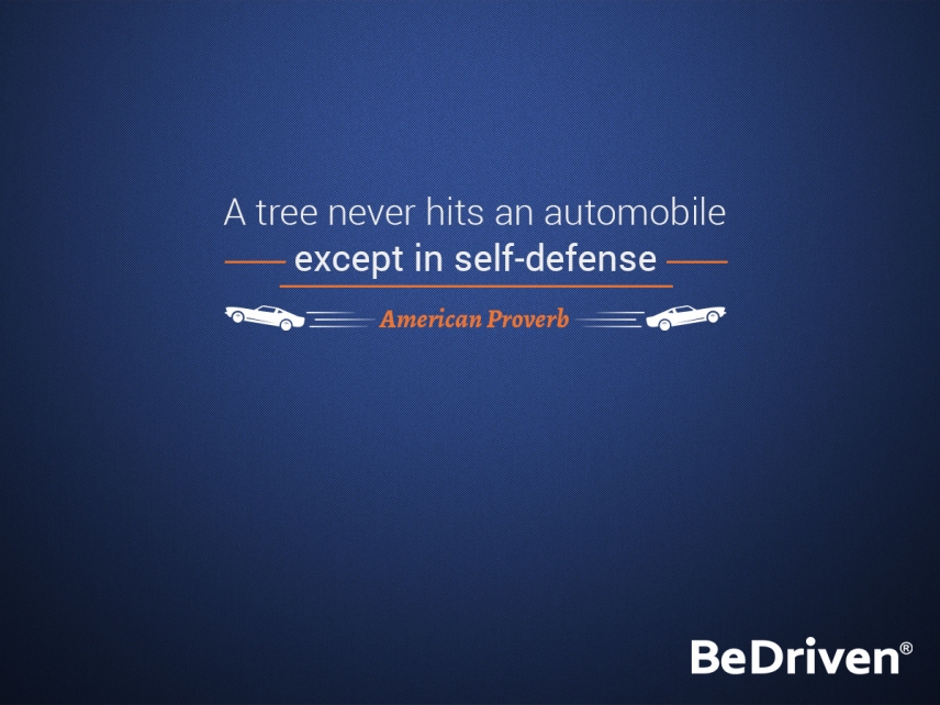 Driving Safely Quotes by BeDriven
